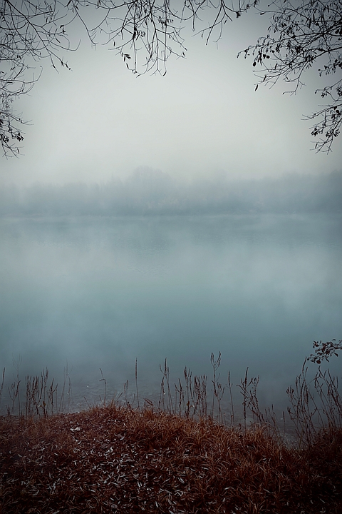 25 P. Nebel Ronald Diensthuber